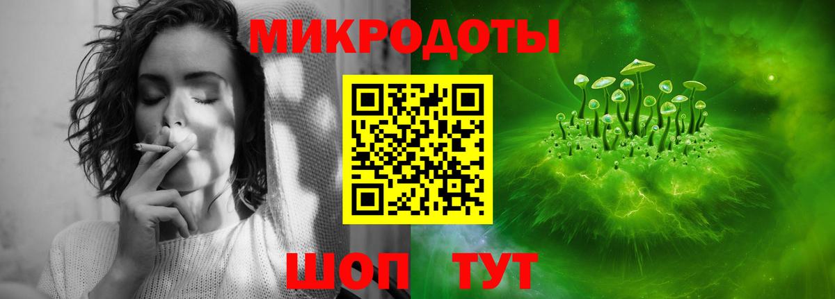 Галлюциногенные грибы Cubensis Железногорск